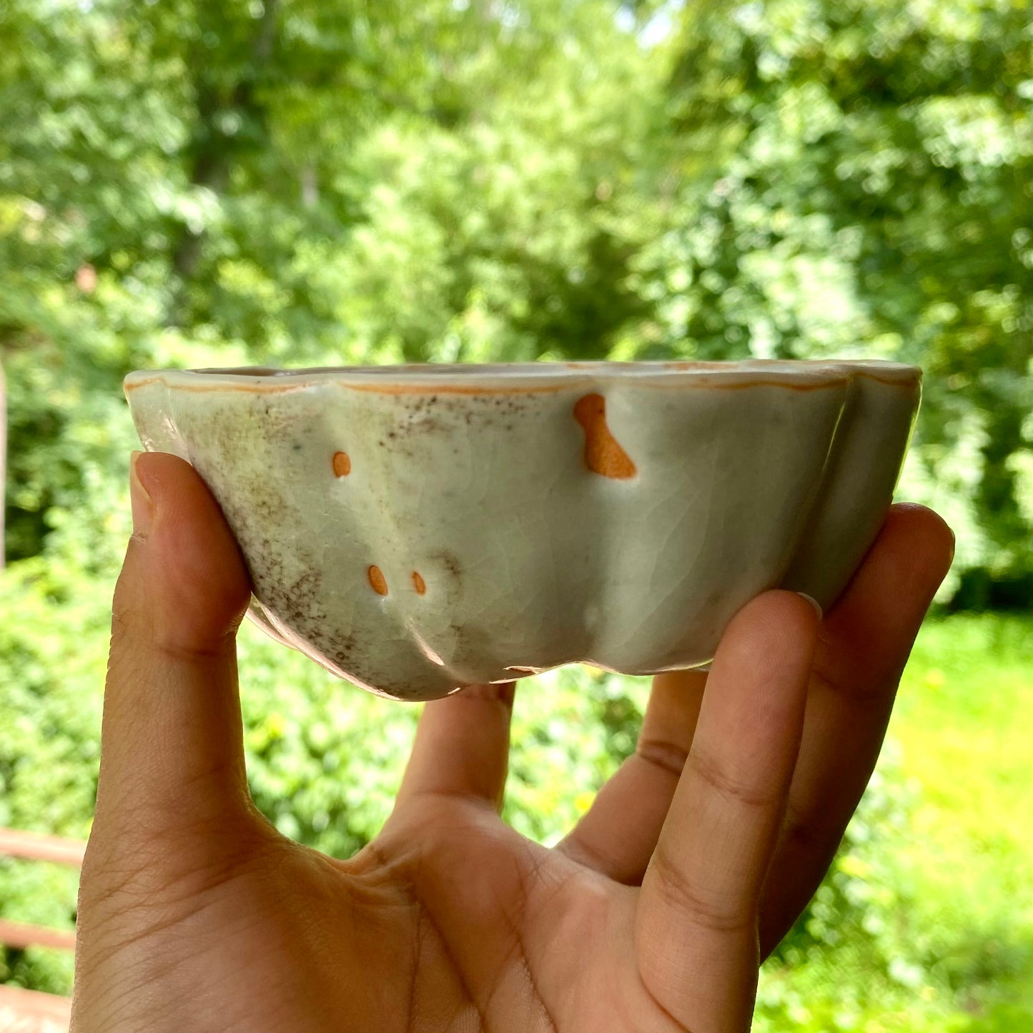 Gourd To See You Bowl
