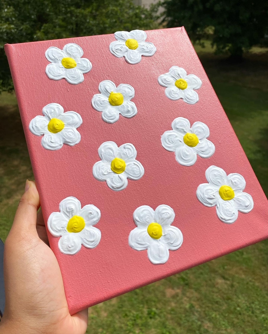 Daisies Field