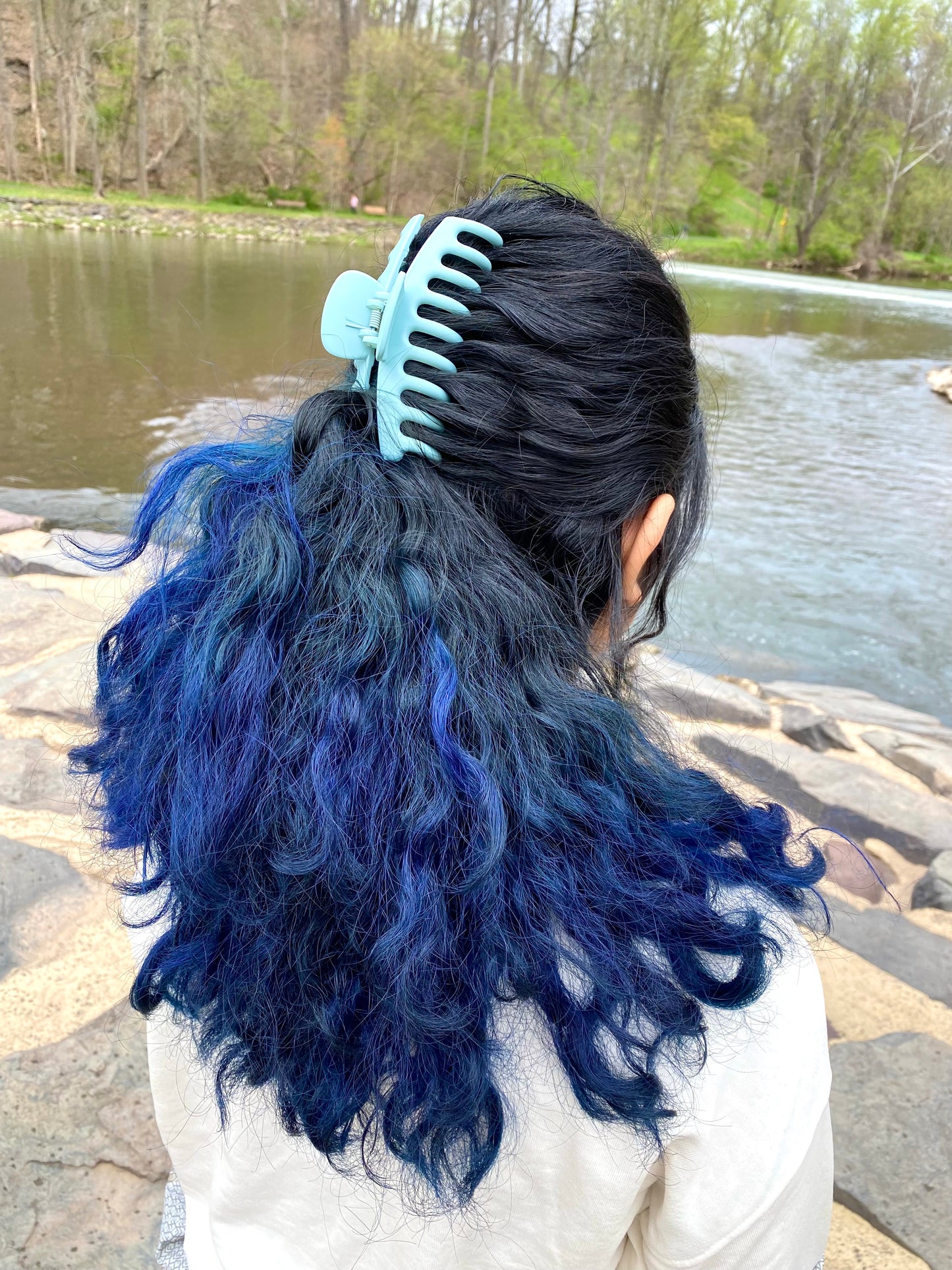 Colorful Claw Clips