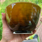 Honey Glazed Bowl