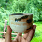 Small Koi Teacup