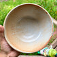 Matte Orange Bowl