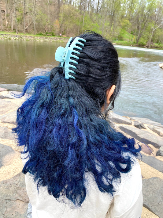 Colorful Claw Clips